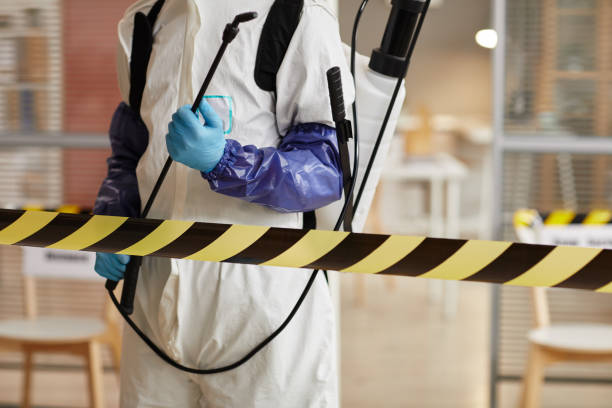 Professional Sewage Cleanup technician working in Sevier, UT
